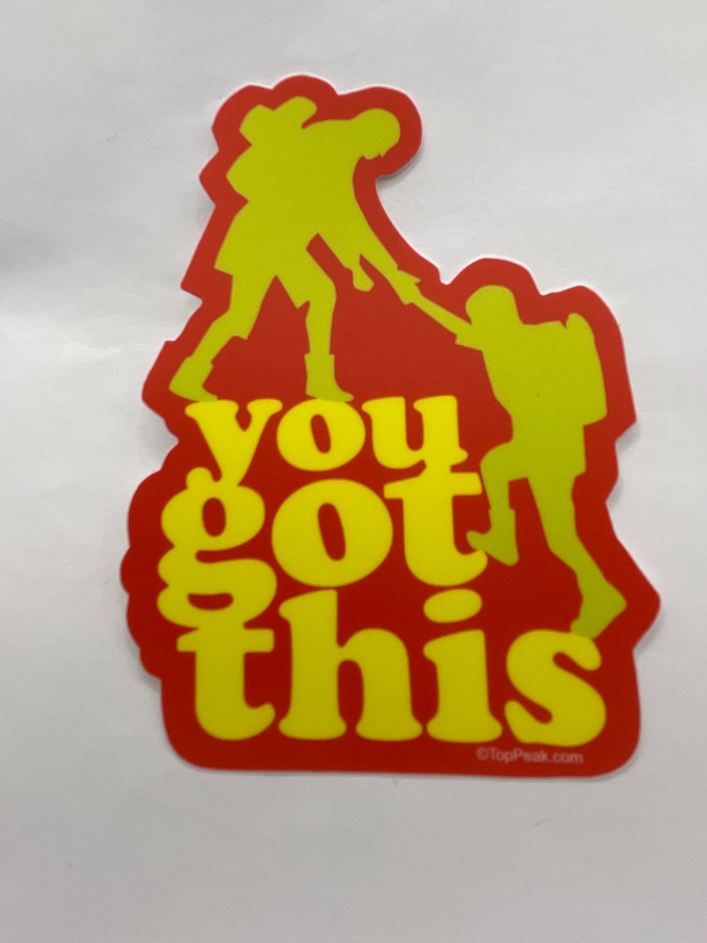 You Got This Sticker