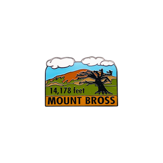 Bross Pin