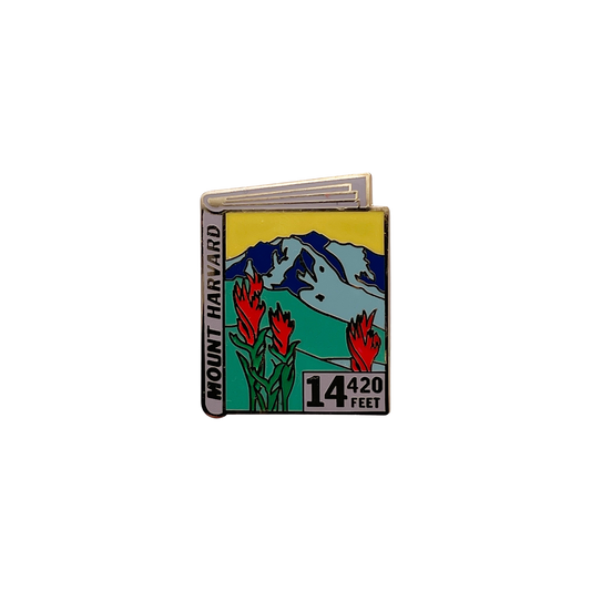 Harvard Pin
