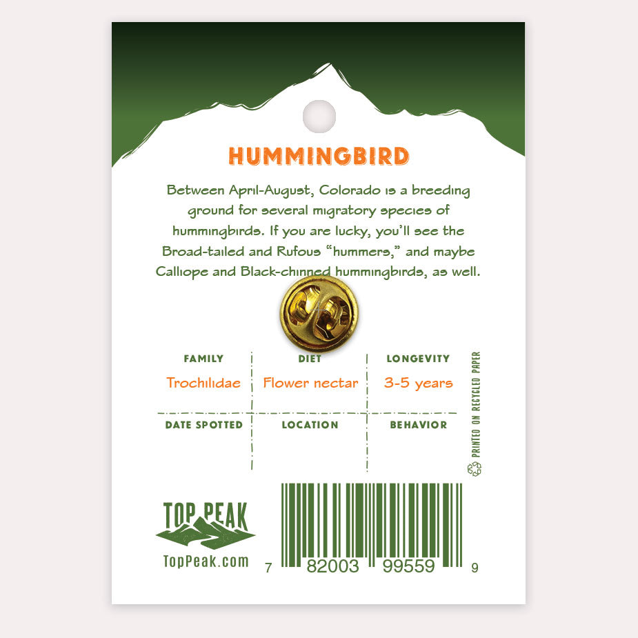 Hummingbird Pin