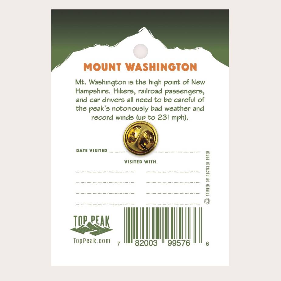 Washington Pin