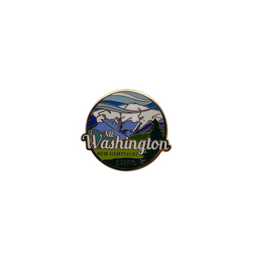 Washington Pin