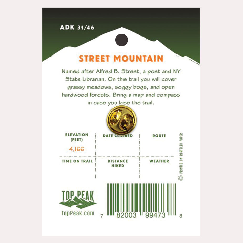 Street Mountain Pin